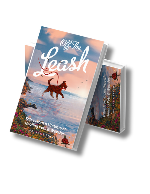 Daily Defense Pack + Signed Book